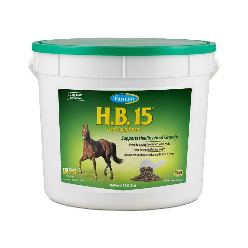 Ｈ.Ｂ.15