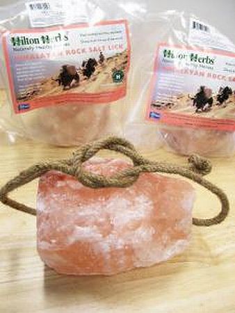 乗馬ショップマイネ（meine.jp）