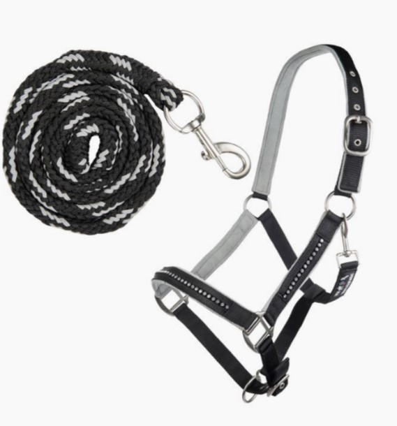 HKMクリスタルホルター＆リード