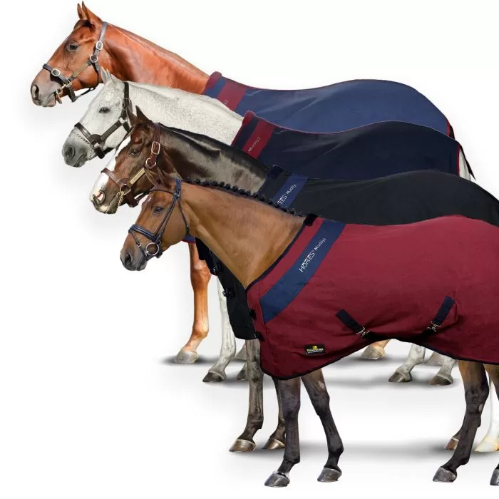 Horses マディ2 コットンラグ