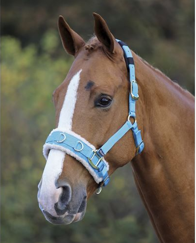 Shires ナイロンキャブソン