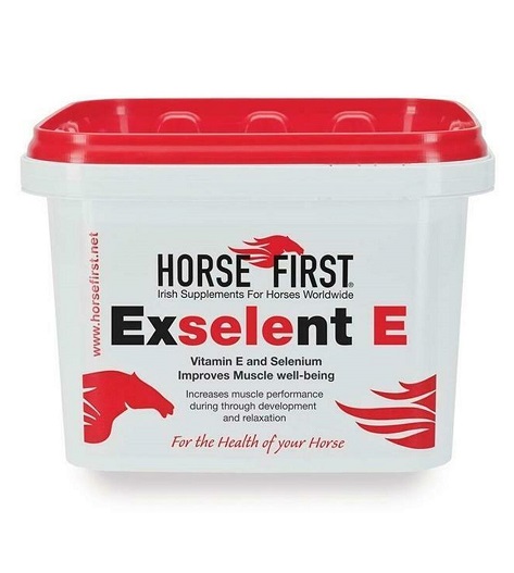 Horse FirstエクセレントE