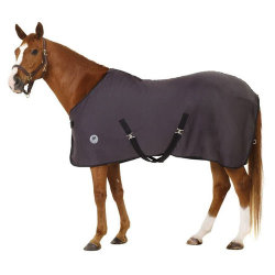 Centaur ターボドライカラーシート