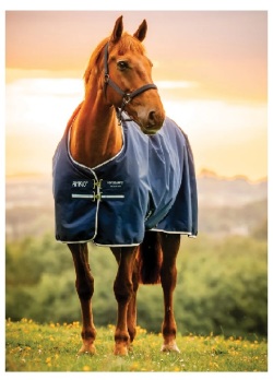 Amigo  リップストップ 900D 100グラム スタンダードネック   ポニーターンアウト