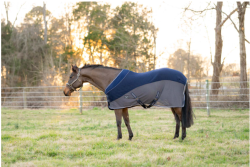 Tuff Rider　ハイブリッド　スタンダードネッククーラー