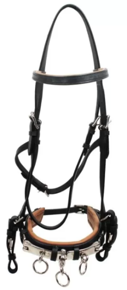 トレーニングホルター