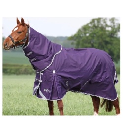 SHIRES　ハイランダー100ネックセット