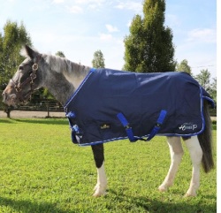Horsesウォータプルーフミデアムパドックポニーラグ　
