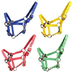 Horses Petite Pony 小型ポニー用無口