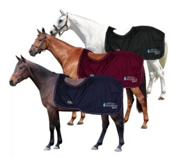 Horses ウォータープルーフウォームエクササイズラグ