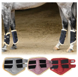 Horses プロテクター ４肢セット