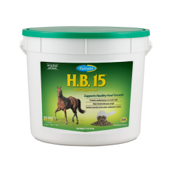 Ｈ.Ｂ.15