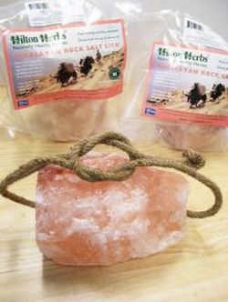 乗馬ショップマイネ（meine.jp）