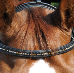 カスタムメイドブロウバンド