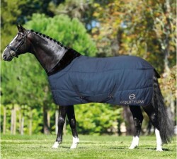 Equityum ステーブルラグ200g　マルヴァ