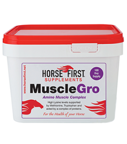 Horse Firstマッスルグロ