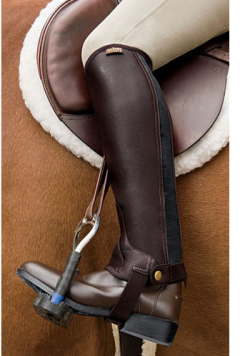 Saxsonエクイレザーハーフチャップス