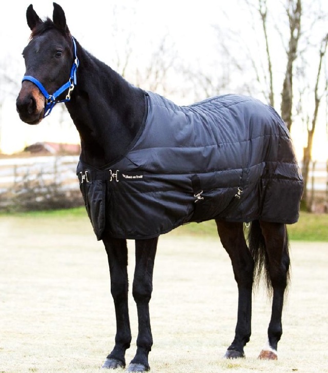 （たなか）フリース馬着　馬衣　乗馬　馬術 たなか様専用）フリース馬着 馬衣 乗馬 馬術