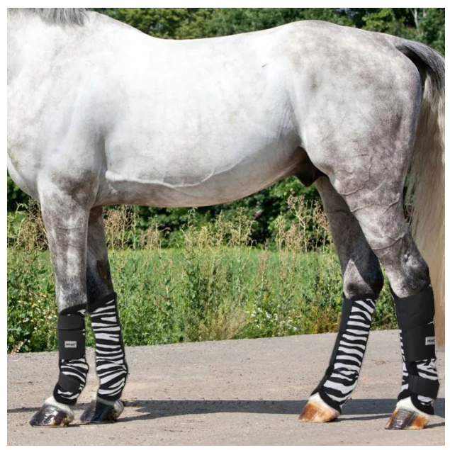 【セール】FRYE(フライ)☆ベロニカ フレックス コンバットブーツ Horses フライブーツ ゼブラ