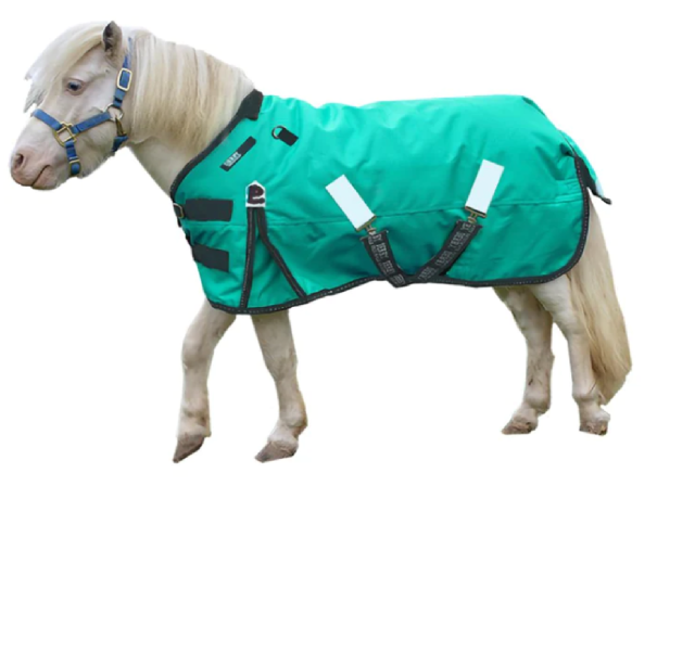 THE TRAIL OF PAINTED PONIES ペインテッドポニーセット Amazon.co.jp: My Little Pony Toy レインボーテール サプライズ