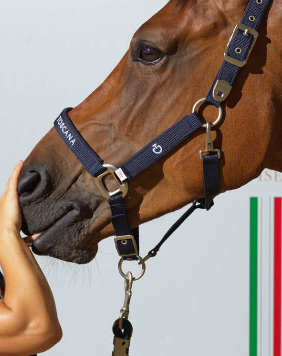 乗馬用品　カヴァレリアトスカーナ　FISE フリースラグ 乗馬用品カヴァレリアトスカーナFISE フリースラグ