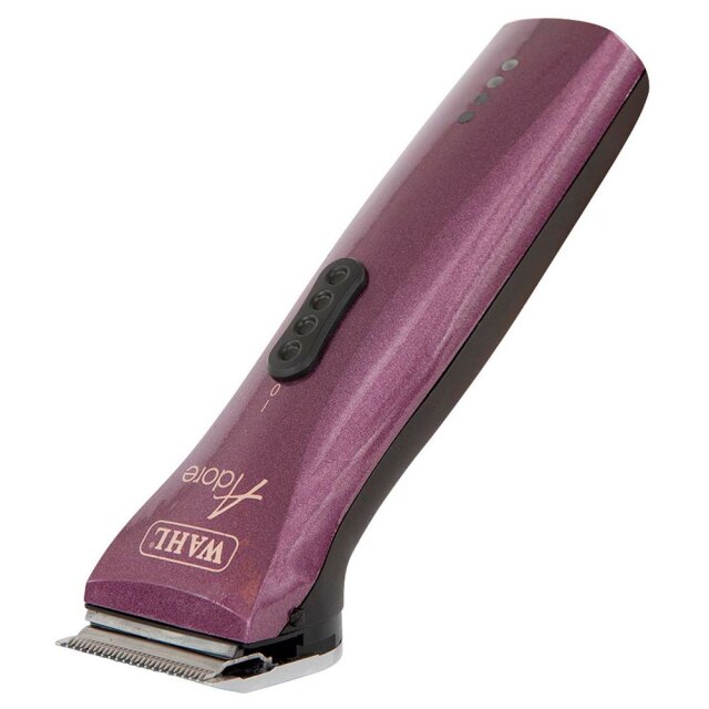 Wahl アドレ