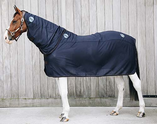 Kentucky マグネティックラグ リカプテックス ネック付き 