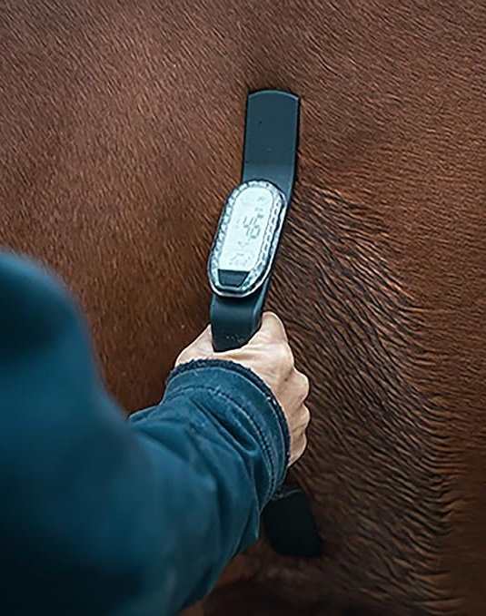 Horsepalヘルスモニターキット