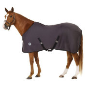 Centaur ターボドライカラーシート