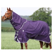 SHIRES　ハイランダー100ネックセット