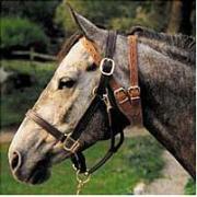 ミラクルさく癖防止バンド