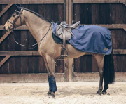 Kentucky ライディングラグ　オールウェザー　160g