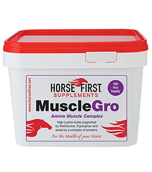 Horse Firstマッスルグロ