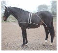 LUNGING　AID　