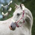 Equityum ラムスキンホルター ゾーイ