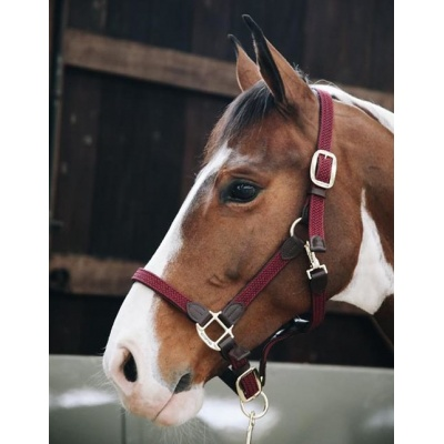 Kentucky プレイテッド　ナイロンホルター