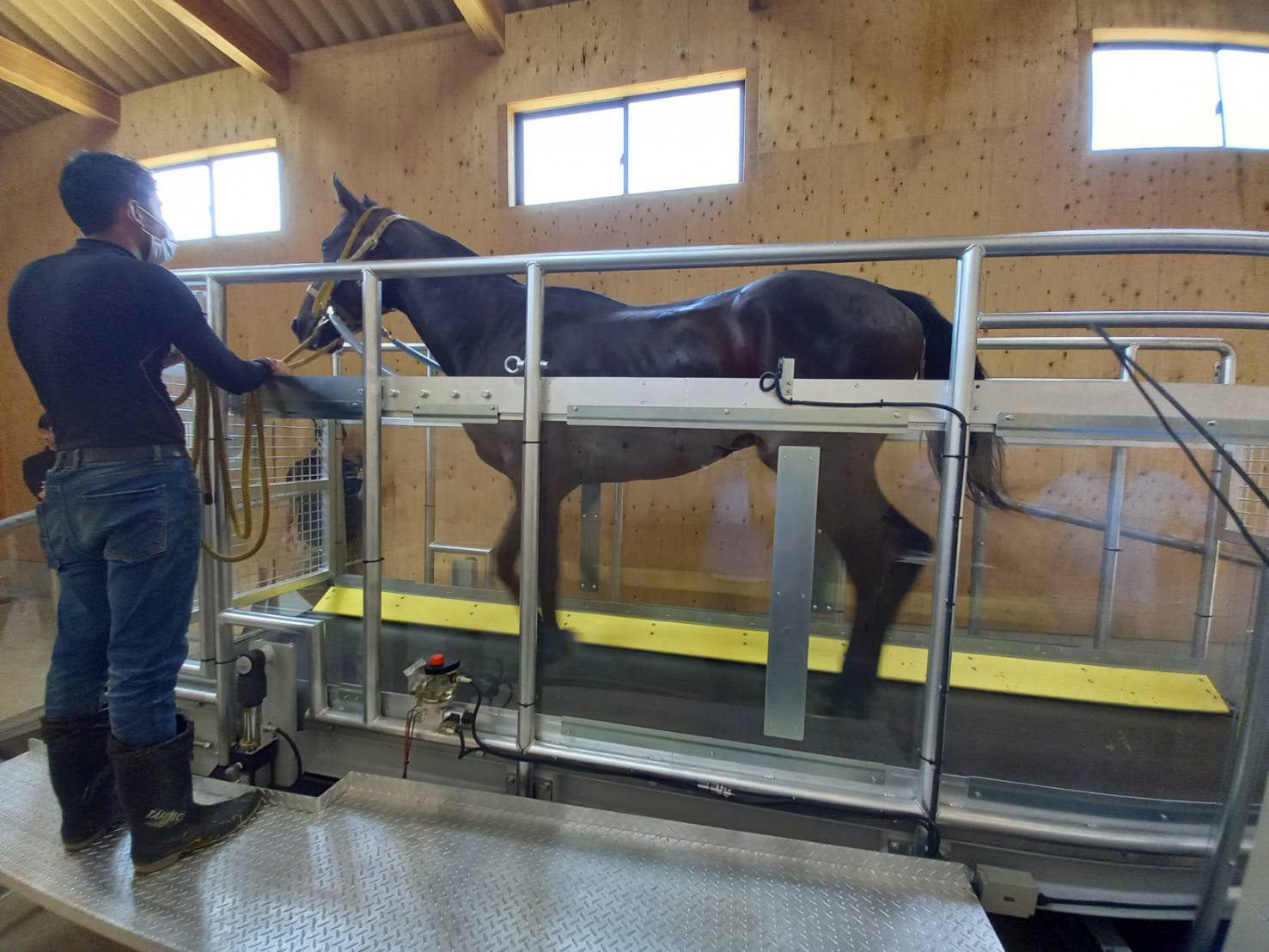 U-ma Tech RS45(45km)トレッドミル