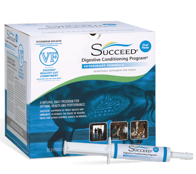 Succeed VF サクシードオーラルペースト