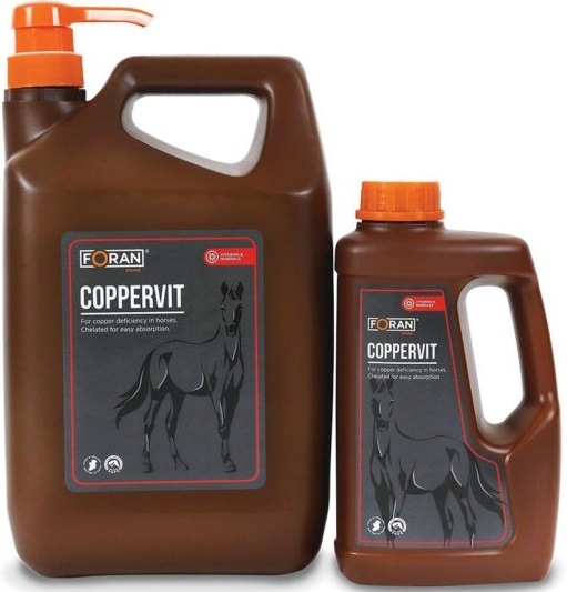 Foran コパービット【理科研検査済】