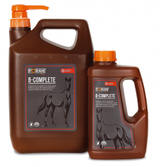 Foran Bコンプリート【理科研検査済】