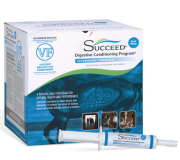 Succeed VF サクシードオーラルペースト