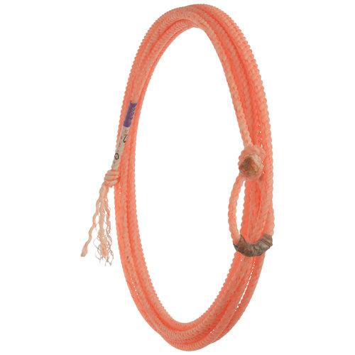 FastBackMach３ヘーリンチームロープ