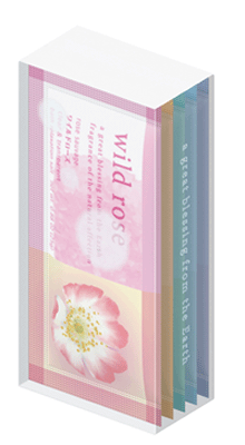 プチギフト　入浴剤セット