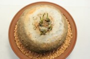 長寿梅・真柏・早乙女さつき 龍眼石付け A1849☆花物実物 中品盆栽