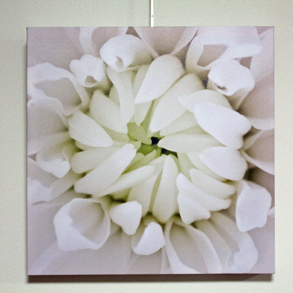 アートパネル　マム