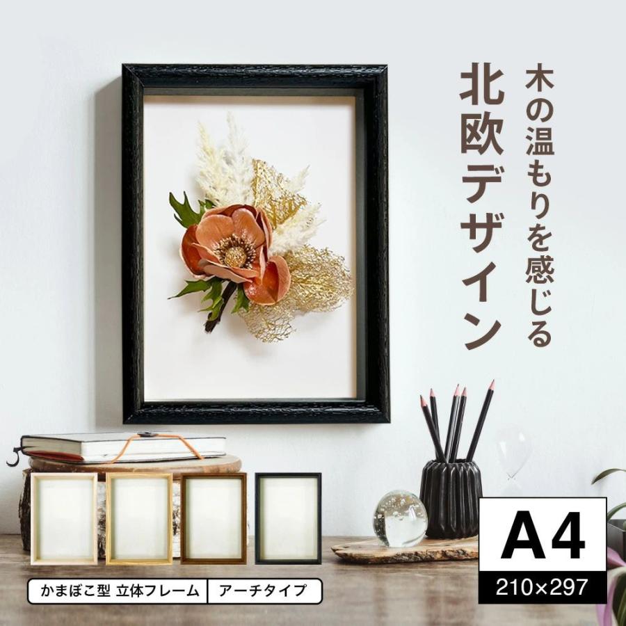 ボックスフレーム　アーチタイプA4