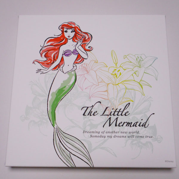 アートパネル　アリエル5