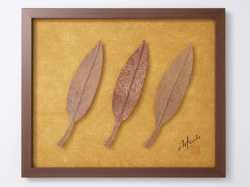 Art　Works　アグラオネマ柿渋染め