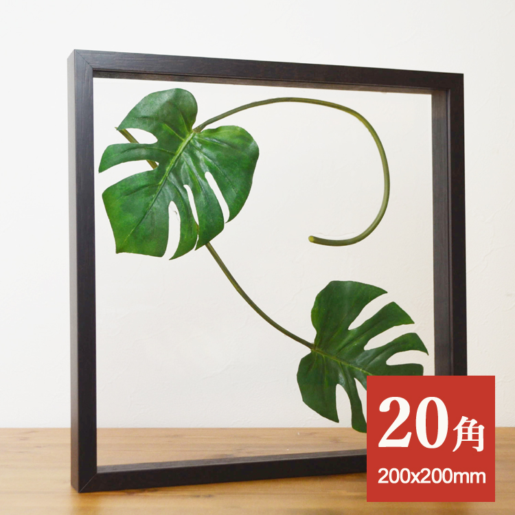 クリアボックスフレーム