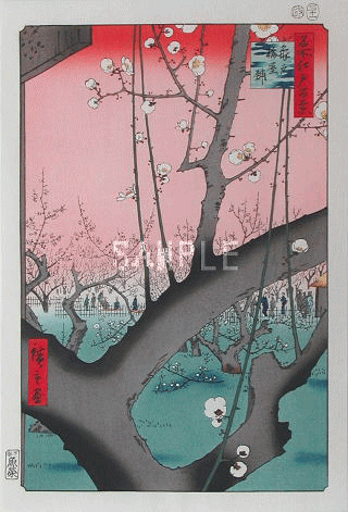 浮世絵梅-640